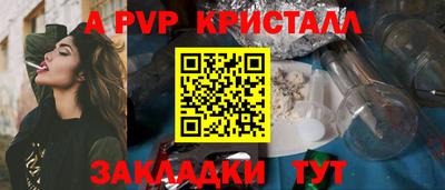шишки Кингисепп
