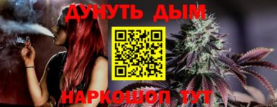 шишки Кингисепп