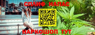 шишки Кингисепп