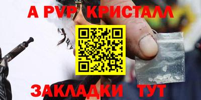 шишки Кингисепп