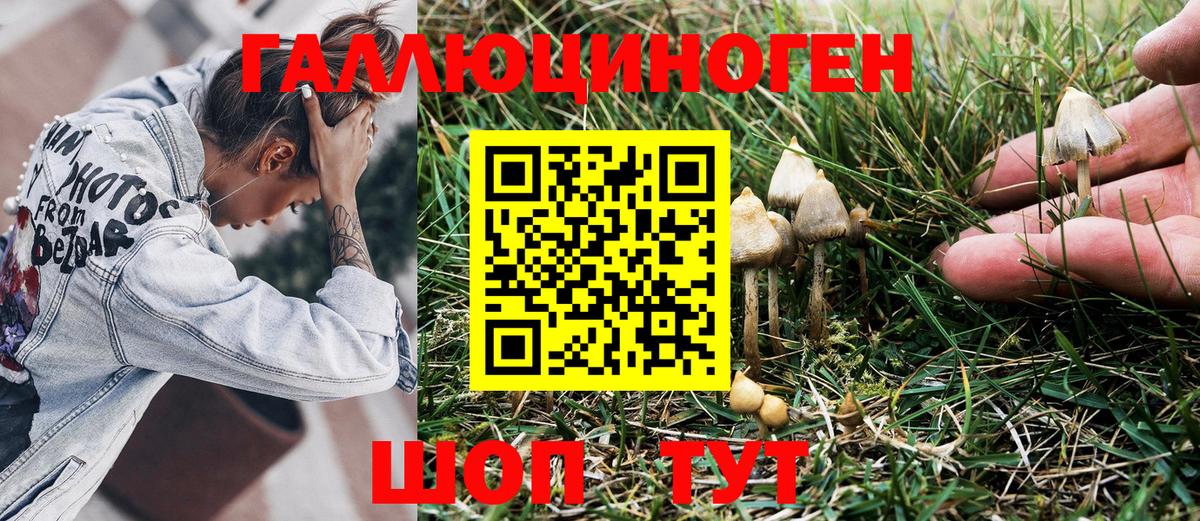 Галлюциногенные грибы прущие грибы Кудымкар