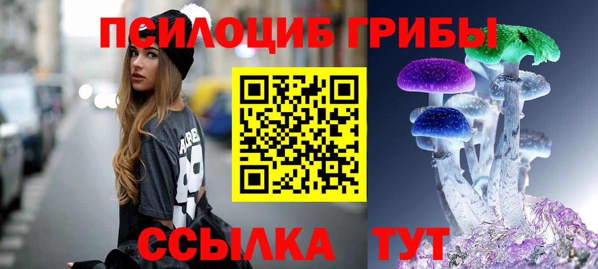 Галлюциногенные грибы Magic Shrooms  Псилоцибиновые грибы Psilocybine cubensis  Вход с VPN  купить наркотики цена  Кудымкар 